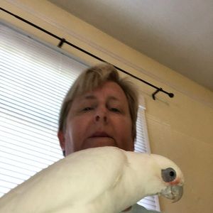 Meet your Posher, Stacy